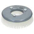 Schrobborstel Supernylon Duomatic C43 E, EM, B, BM, BA, BMA/Discomatic Mambo/Mambo PRO product foto
